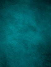 Dark Cyan Texture Printed Old Master Backdrop For Photography  J-0711 Shopbackdrop